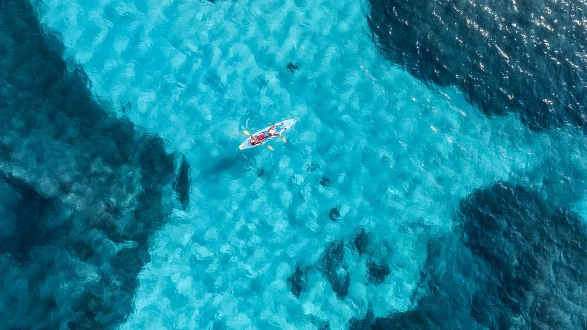 Immagine articolo