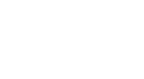 Leroy Merlin