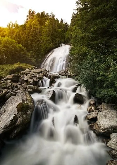 water falls in the middle of green trees