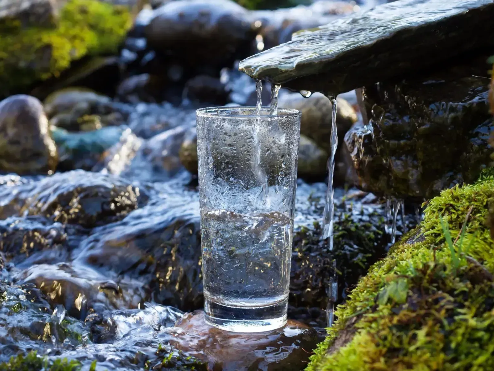 Минеральная Вода