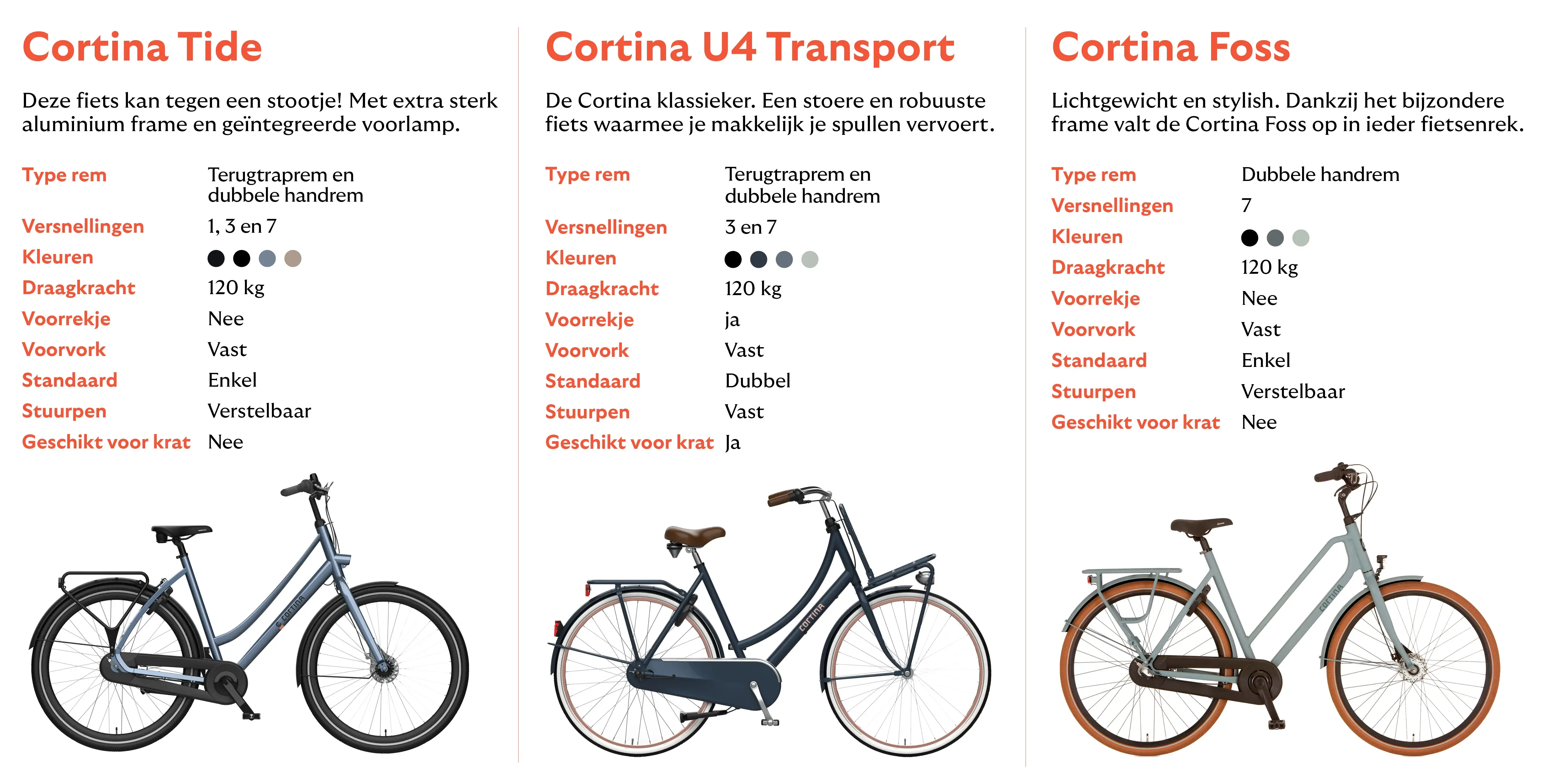 Cortina