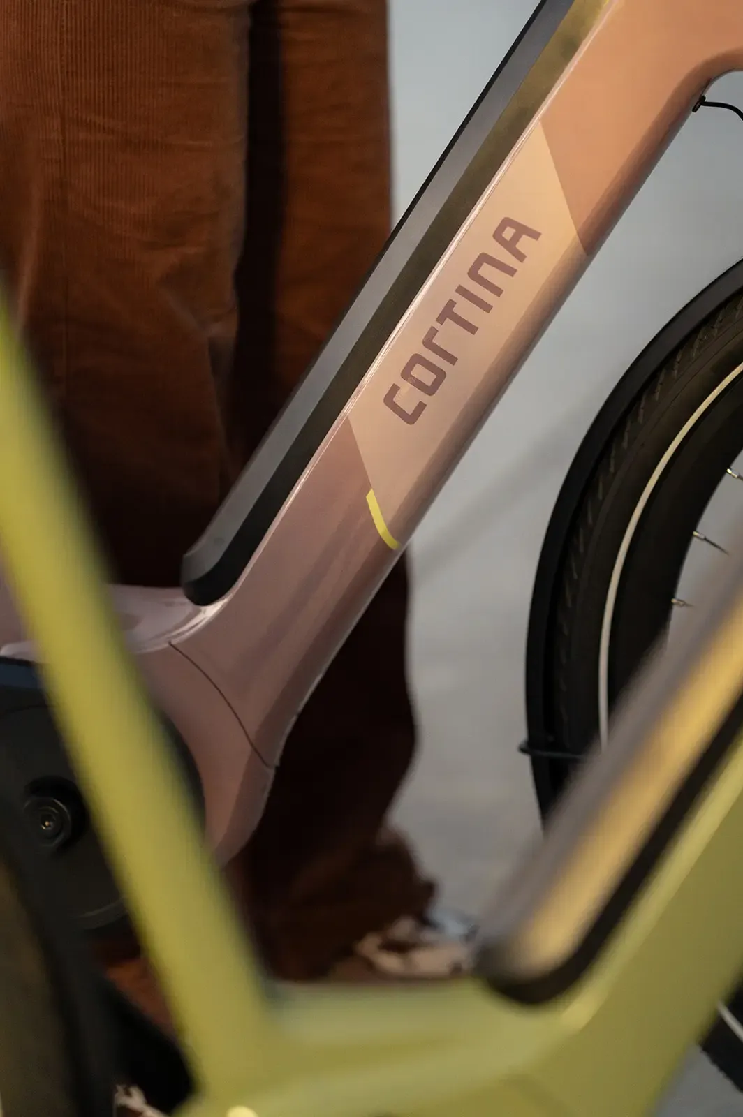 elektrische-fiets-e-common