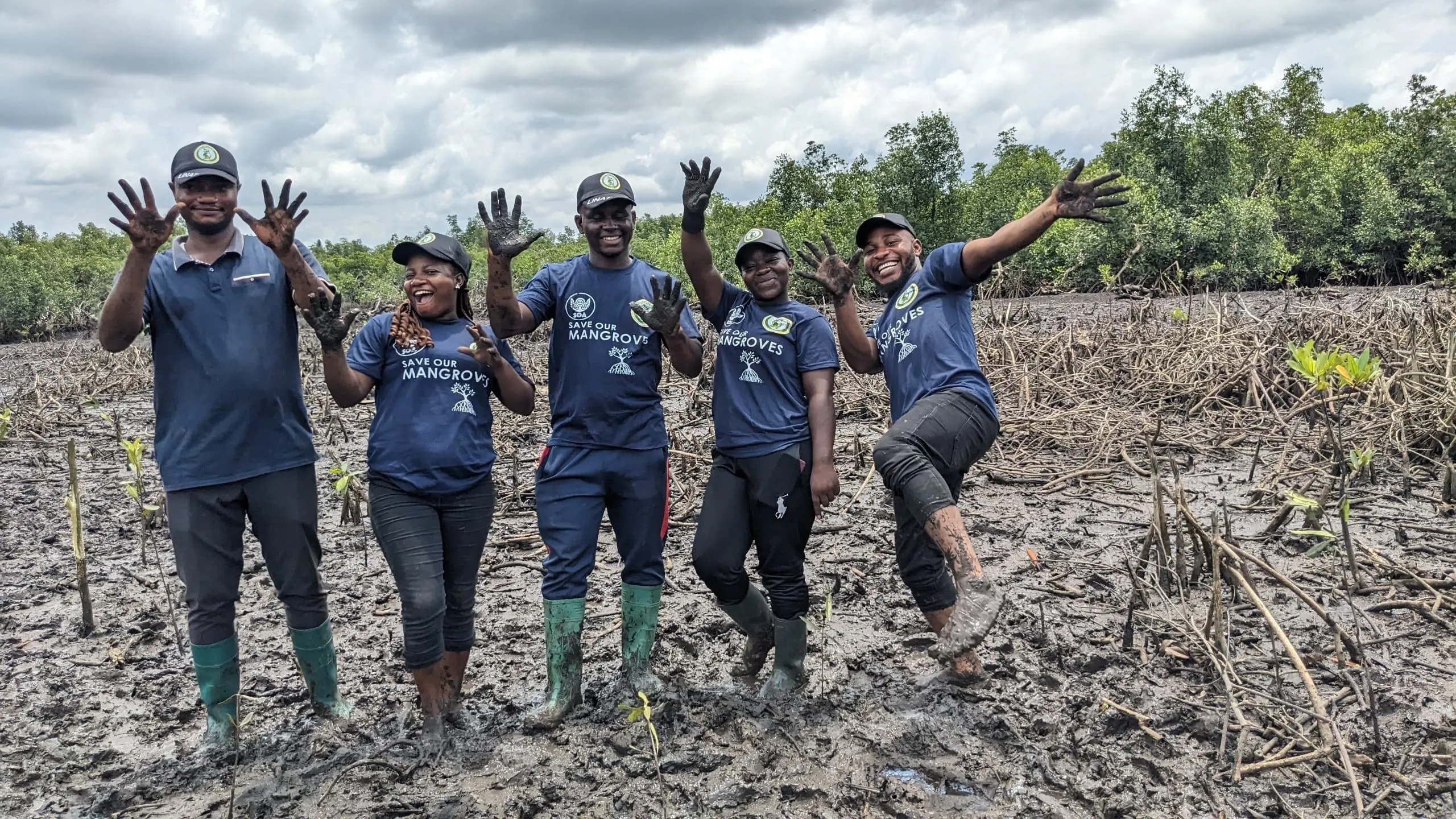 LINAT Cameroon mangrove