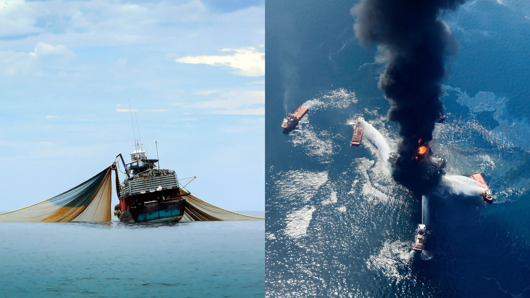Left: Commercial Bottom Trawling Fishing. Right: Deepwater Horizon Oil Spill 2010 (Cred: NY Times).