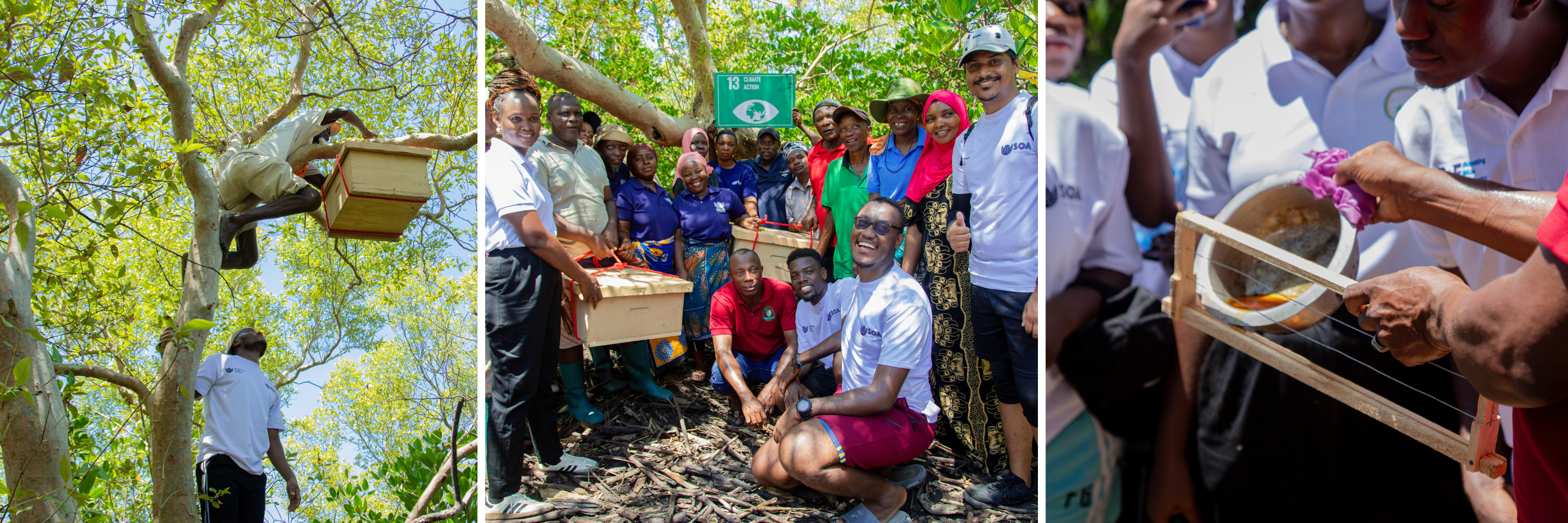 SOA Tanzania's 2025 Our Ocean Bootcamp participants attend hands-on learning beekeeping workshop to implement the initiative in their own communities and support a blue economy. 