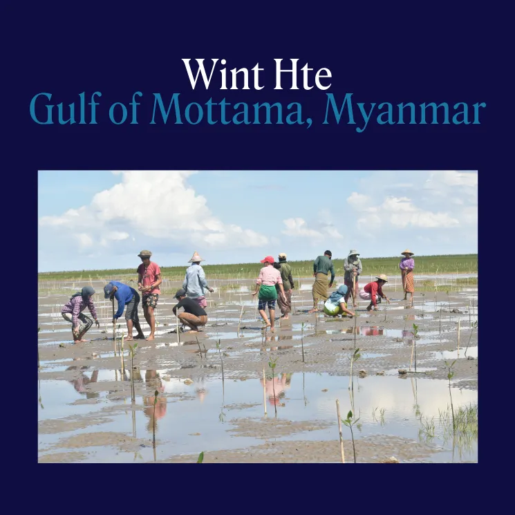 wint hte myanmar SOA